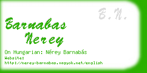 barnabas nerey business card